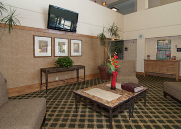 H I Express & Suites San Antonio Medical-Six Flags Εξωτερικό φωτογραφία